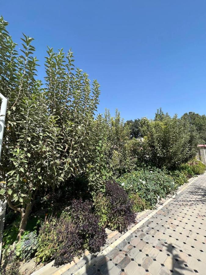 Stariy Marokand Samarkand Exterior foto